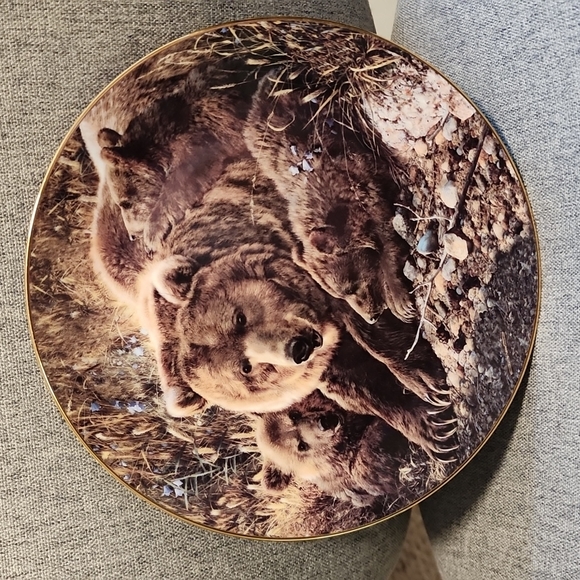 Set of 2 Collectors Plates - Picture 4 of 5